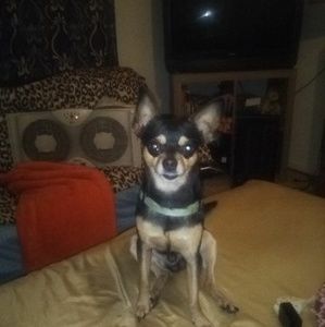 Meet your Posher, April